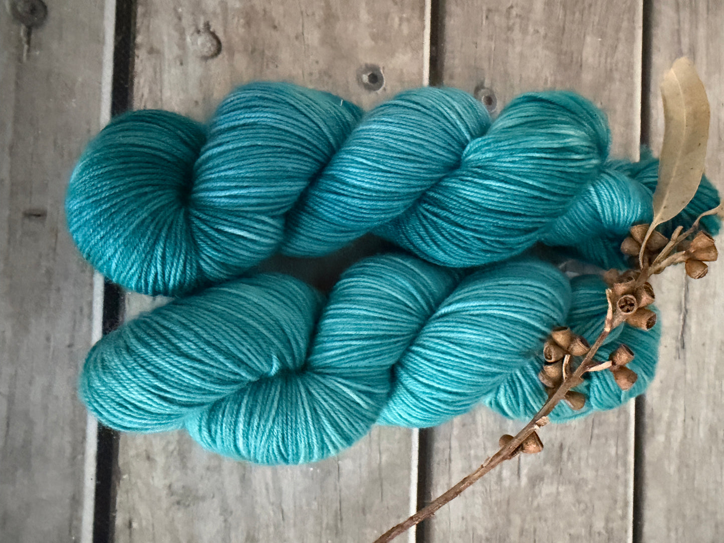 African Silk Moth #2- 4 ply sock yarn in merino/nylon - Darjeeling 4