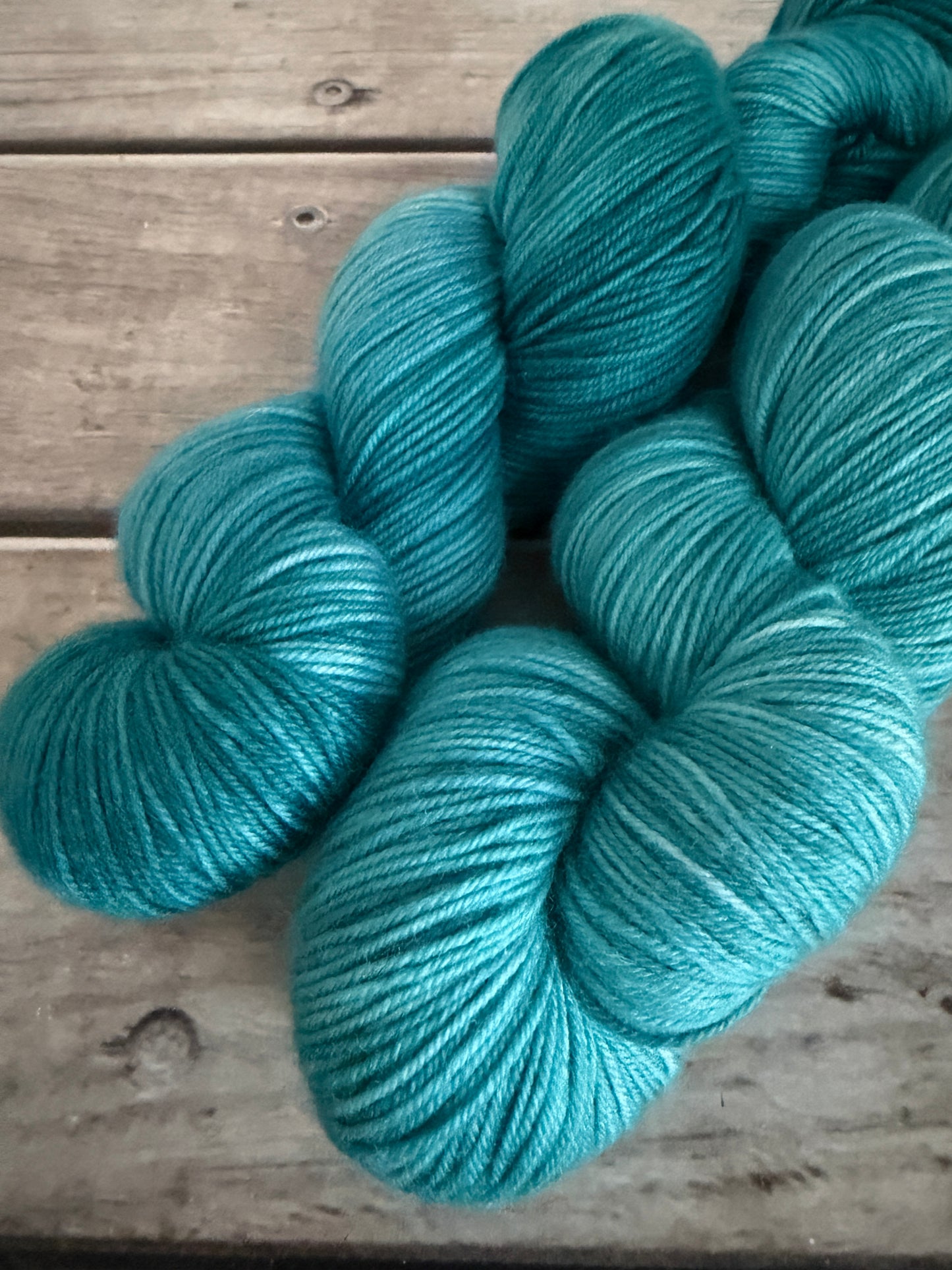 African Silk Moth #2- 4 ply sock yarn in merino/nylon - Darjeeling 4