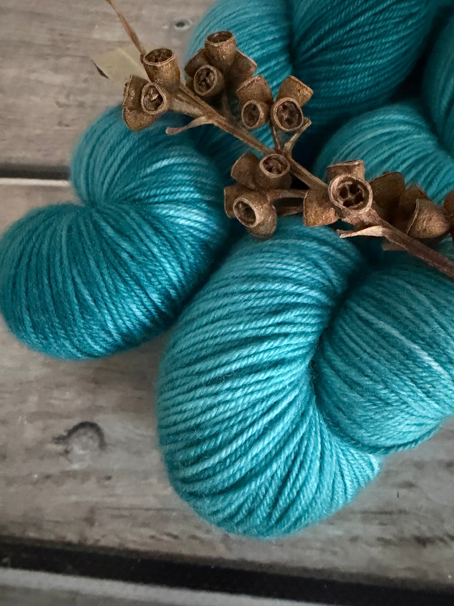 African Silk Moth #2- 4 ply sock yarn in merino/nylon - Darjeeling 4