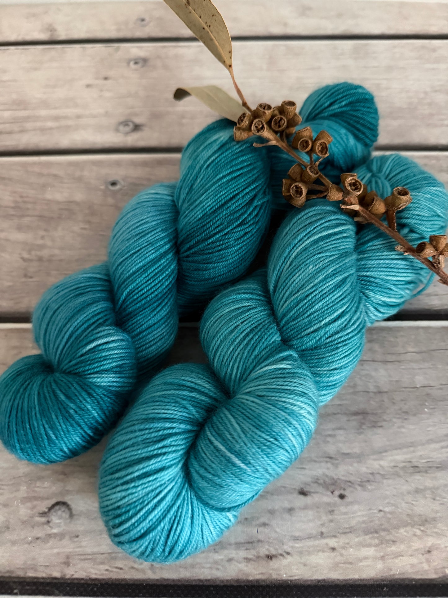 African Silk Moth #2- 4 ply sock yarn in merino/nylon - Darjeeling 4