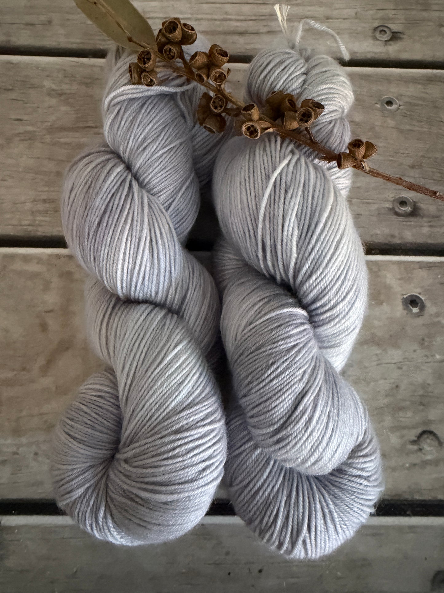African Silk Moth #1 - merino/ nylon sock yarn - Darjeeling