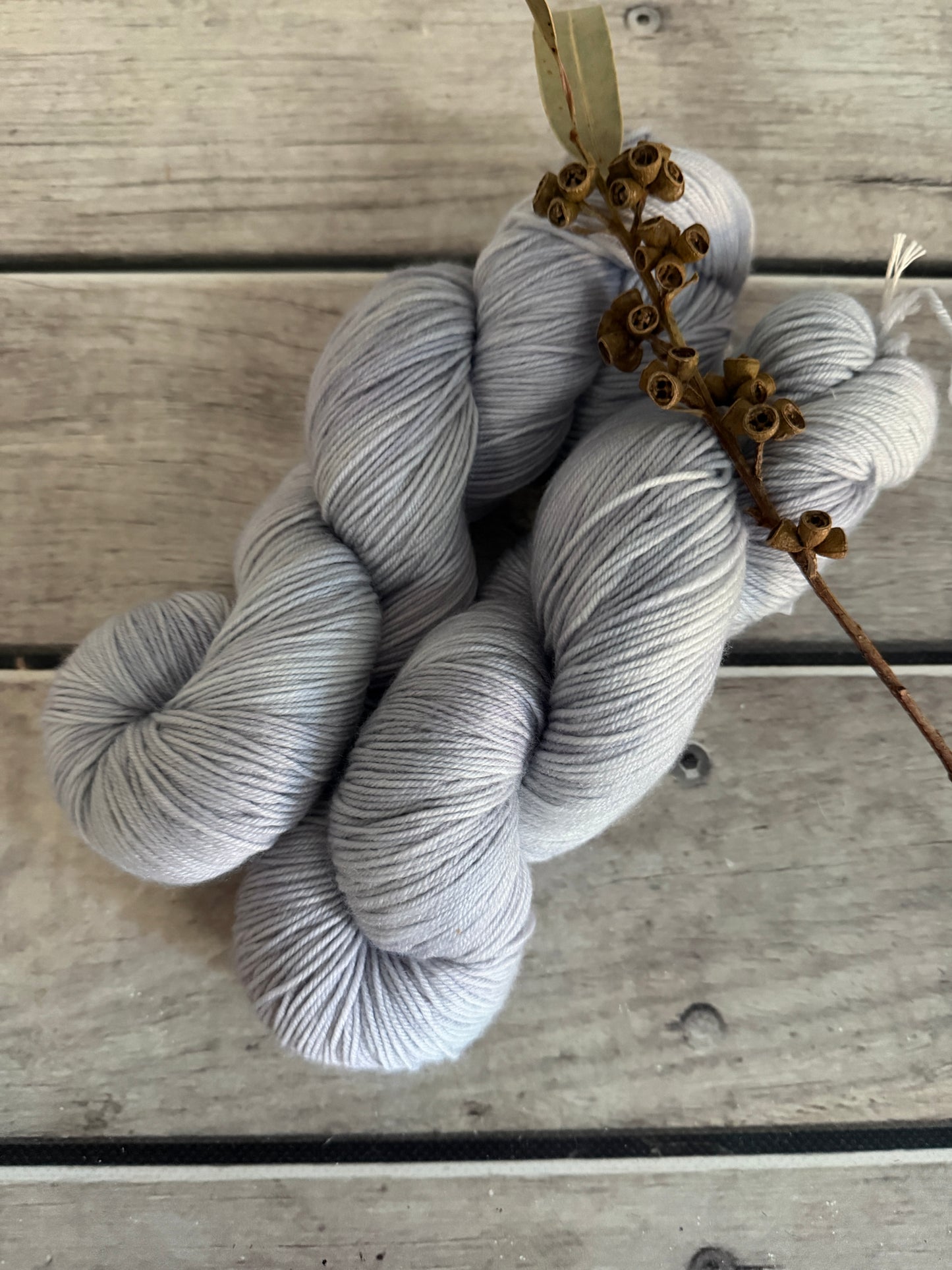 African Silk Moth #1 - merino/ nylon sock yarn - Darjeeling