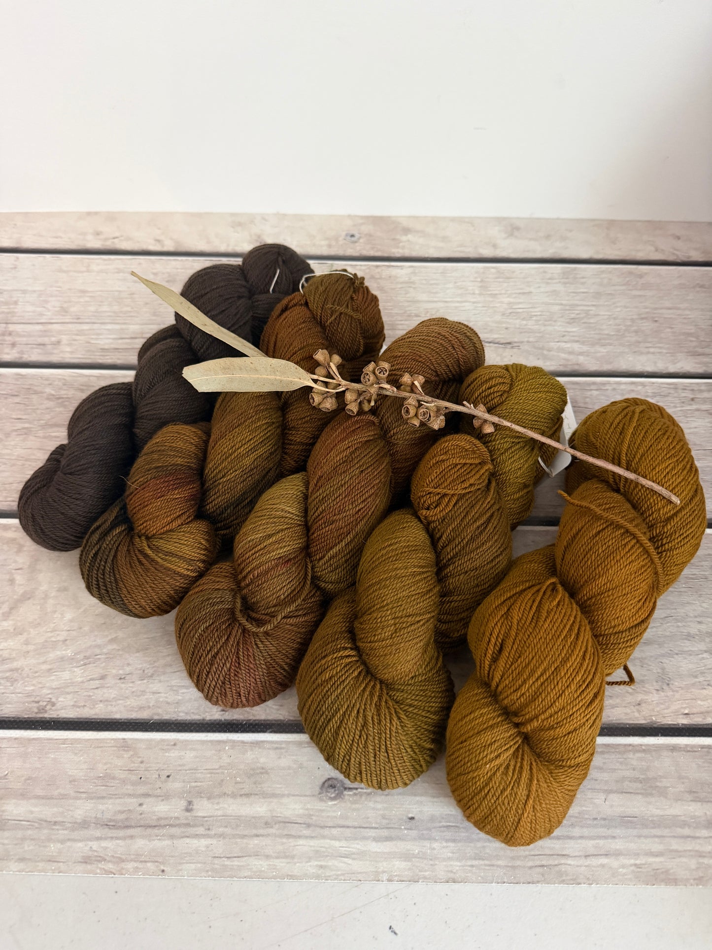 Rose - 5 skein fade with optional end skeins - organic 5 ply Merino