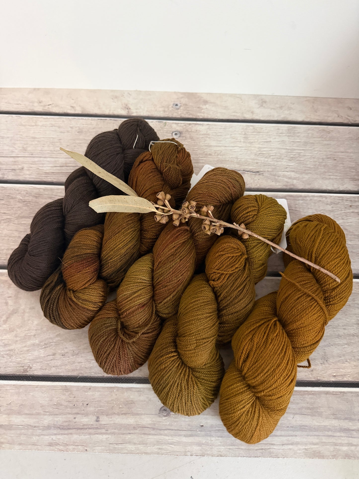 Rose - 5 skein fade with optional end skeins - organic 5 ply Merino