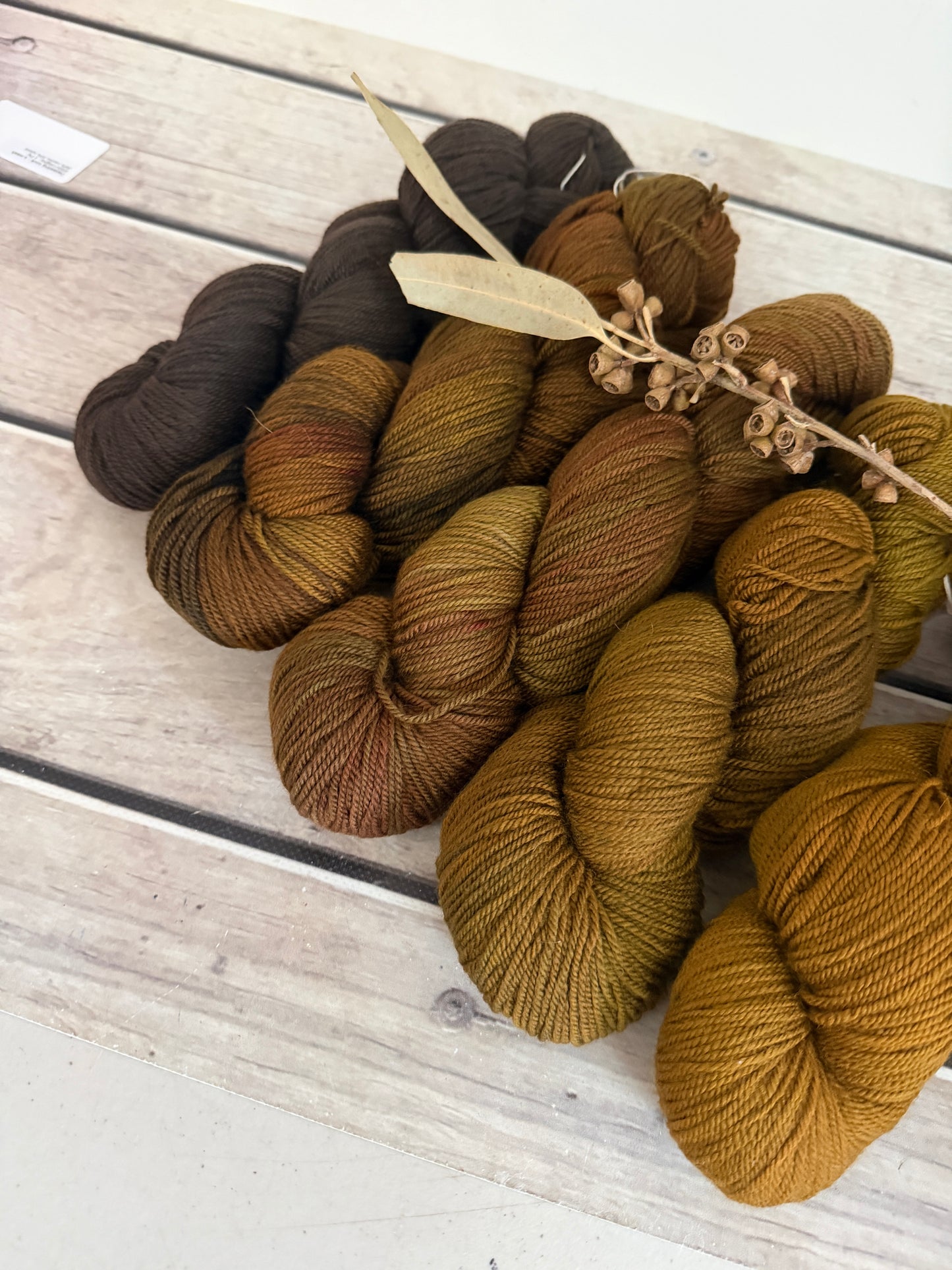 Rose - 5 skein fade with optional end skeins - organic 5 ply Merino