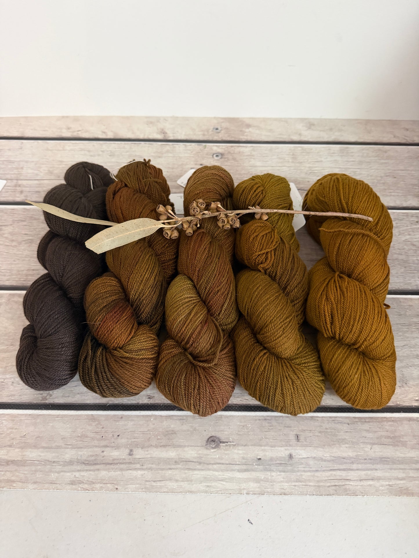 Rose - 5 skein fade with optional end skeins - organic 5 ply Merino
