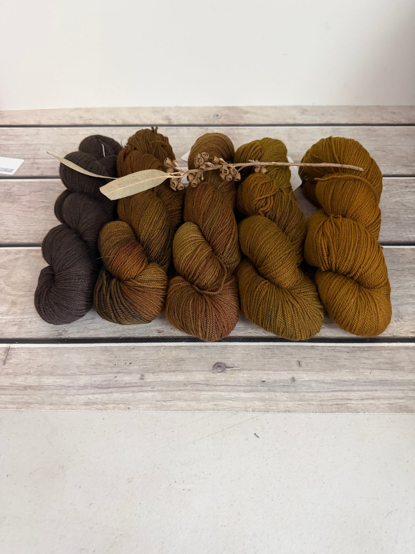 Rose - 5 skein fade with optional end skeins - organic 5 ply Merino