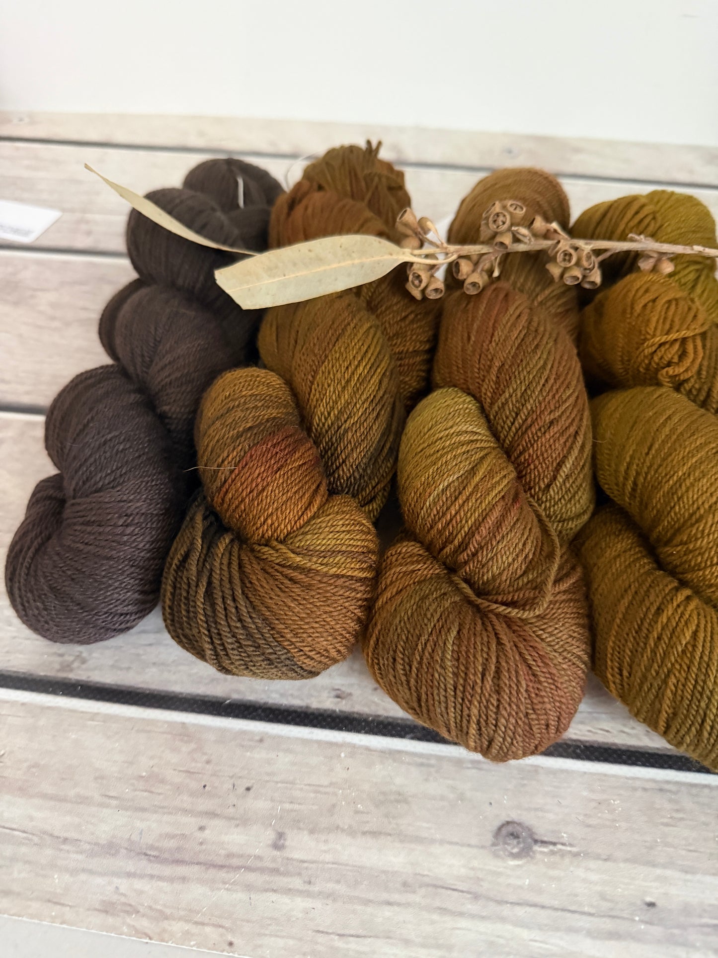 Rose - 5 skein fade with optional end skeins - organic 5 ply Merino
