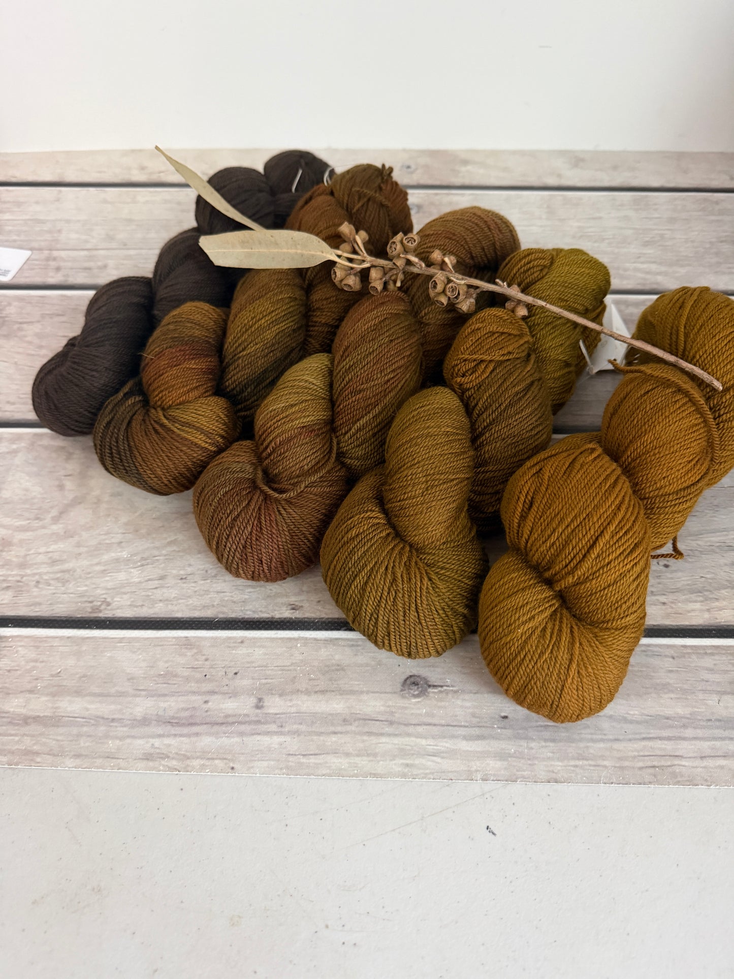 Rose - 5 skein fade with optional end skeins - organic 5 ply Merino