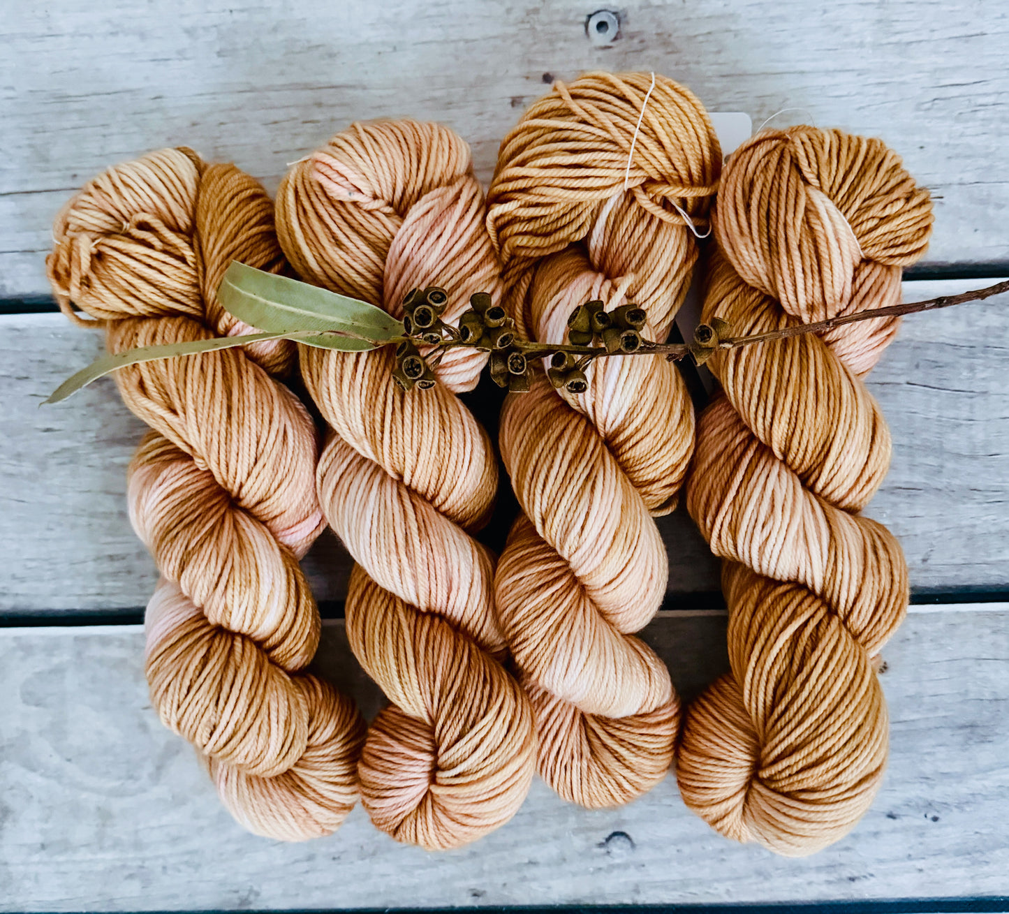 Conch Shell - Darjeeling DK sock yarn - 8 ply (50g skeins)