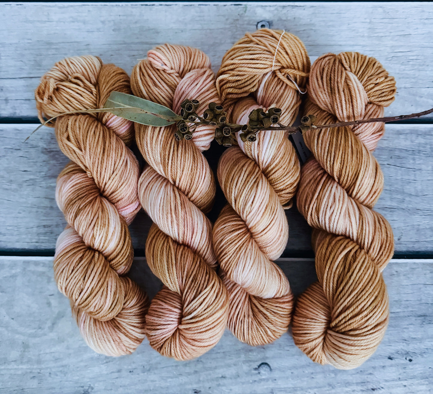 Conch Shell - Darjeeling DK sock yarn - 8 ply (50g skeins)
