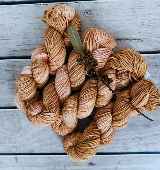 Conch Shell - Darjeeling DK sock yarn - 8 ply (50g skeins)