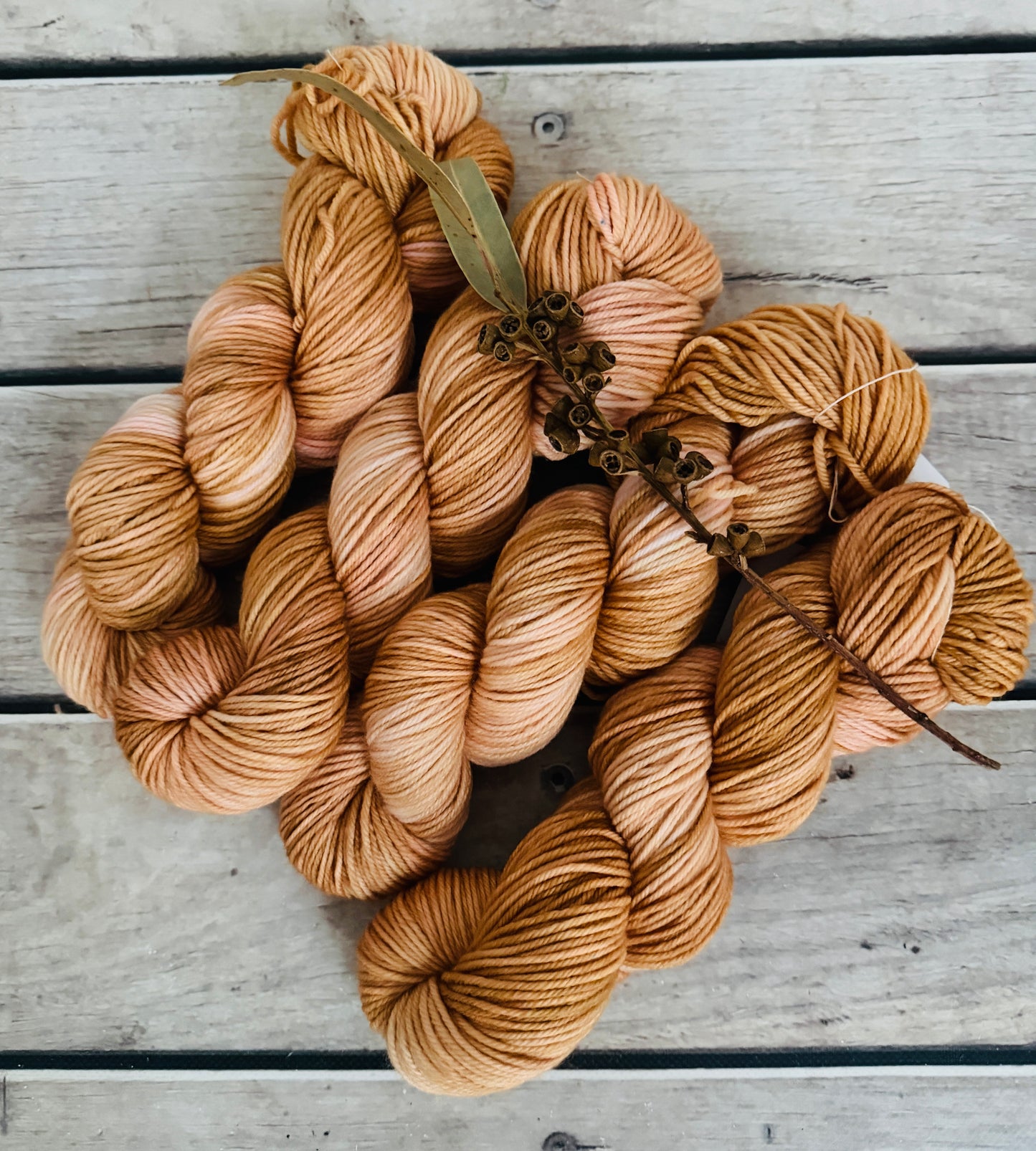 Conch Shell - Darjeeling DK sock yarn - 8 ply (50g skeins)