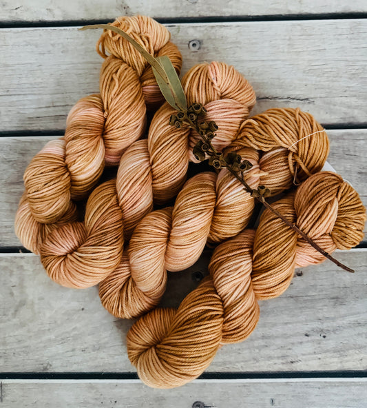 Conch Shell - Darjeeling DK sock yarn - 8 ply (50g skeins)
