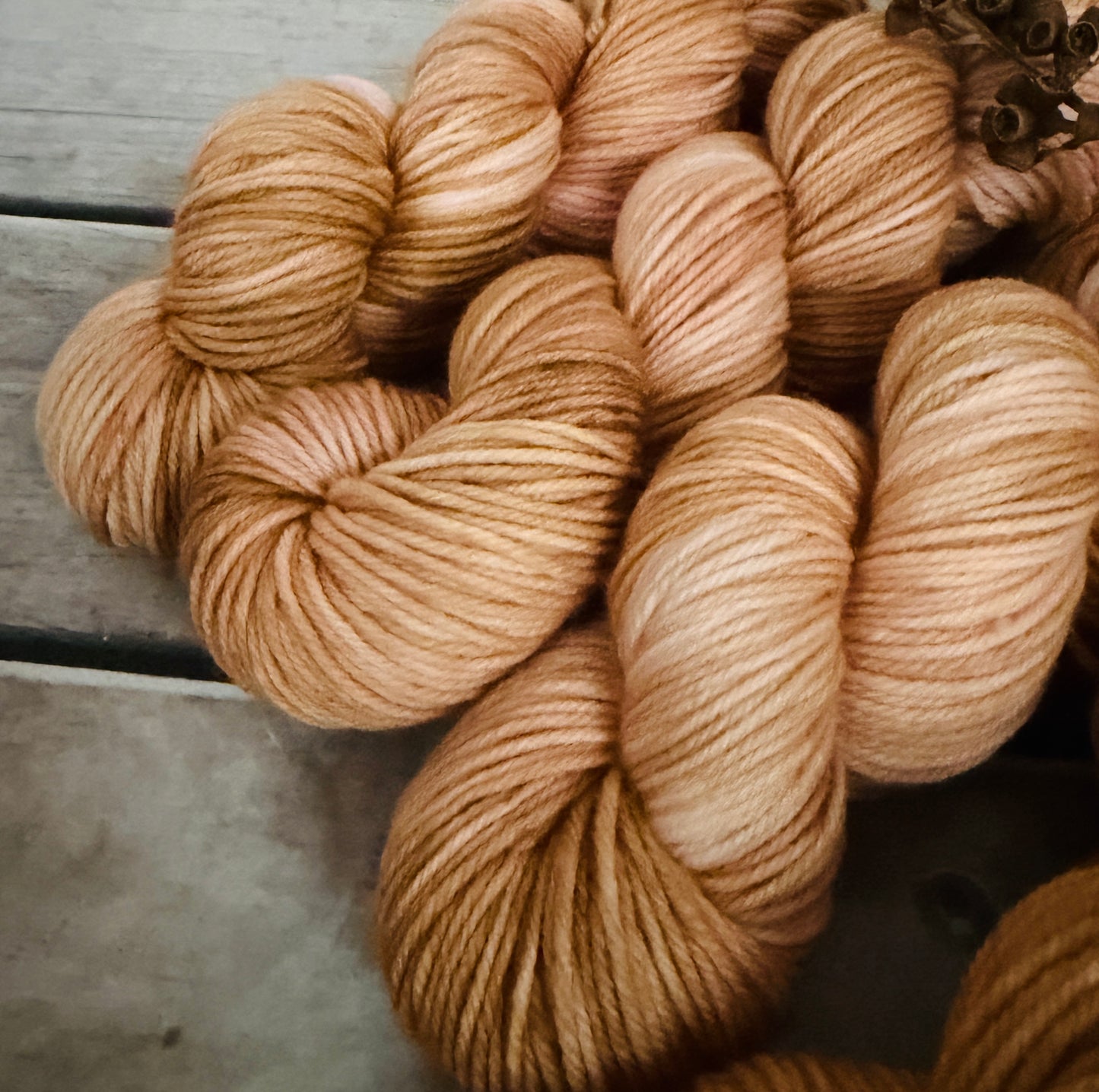 Conch Shell - Darjeeling DK sock yarn - 8 ply (50g skeins)