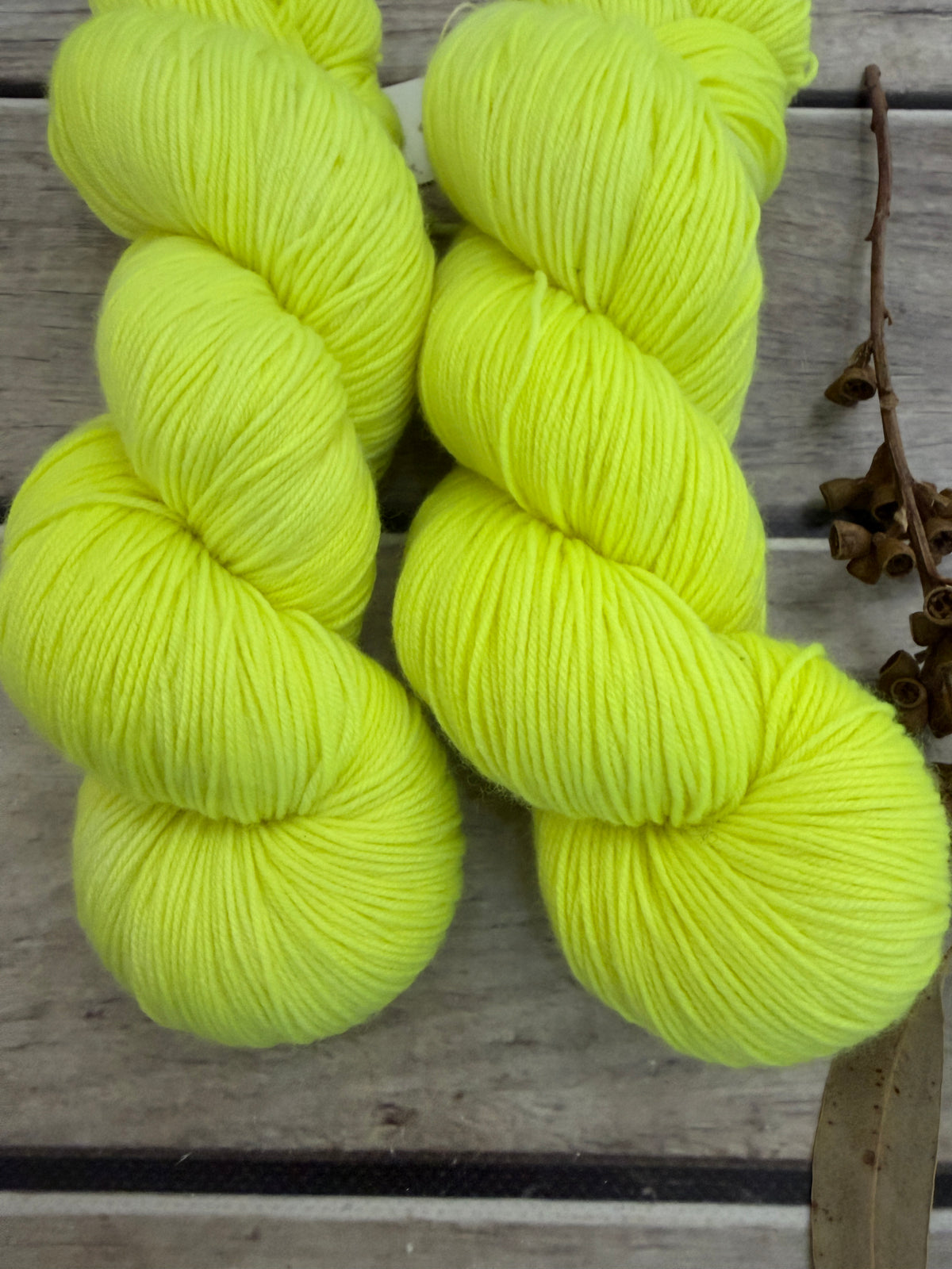 Aurora whole skeins - Merino/Nylon - Darjeeling
