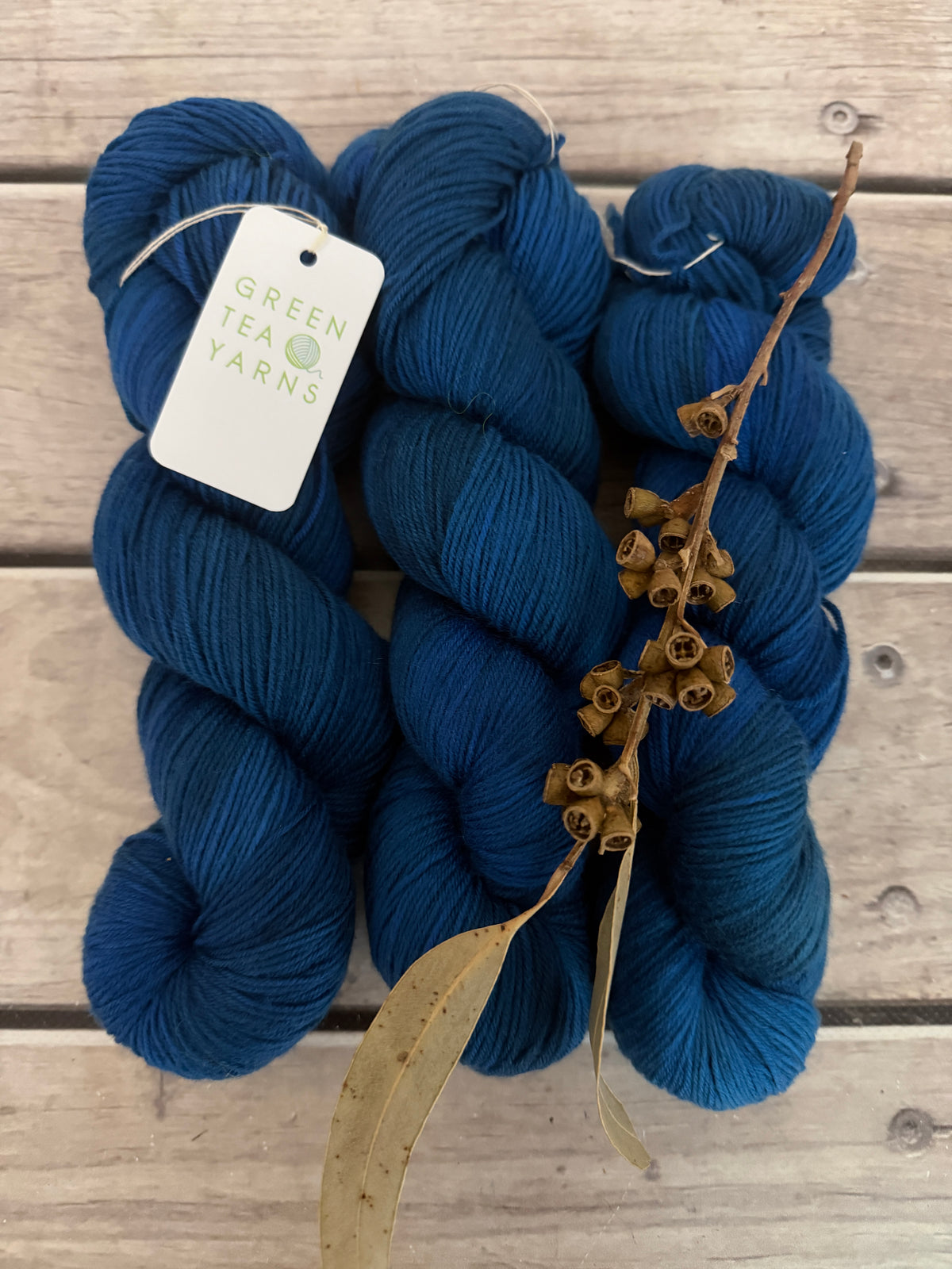 Indian Painted Grasshopper #2 - 4 ply sock yarn in merino and nylon - Darjeeling 4
