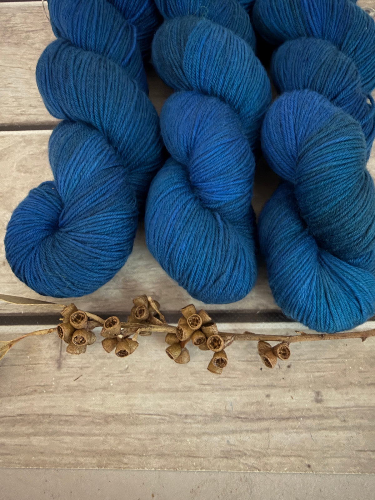 Indian Painted Grasshopper #2 - 4 ply sock yarn in merino and nylon - Darjeeling 4