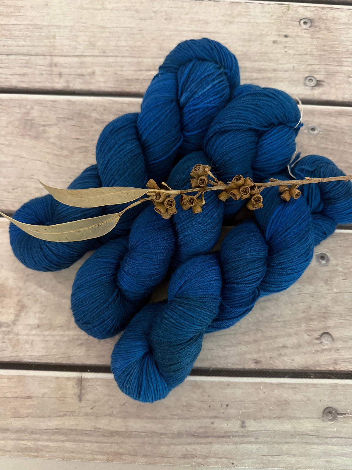 Indian Painted Grasshopper #2 - 4 ply sock yarn in merino and nylon - Darjeeling 4