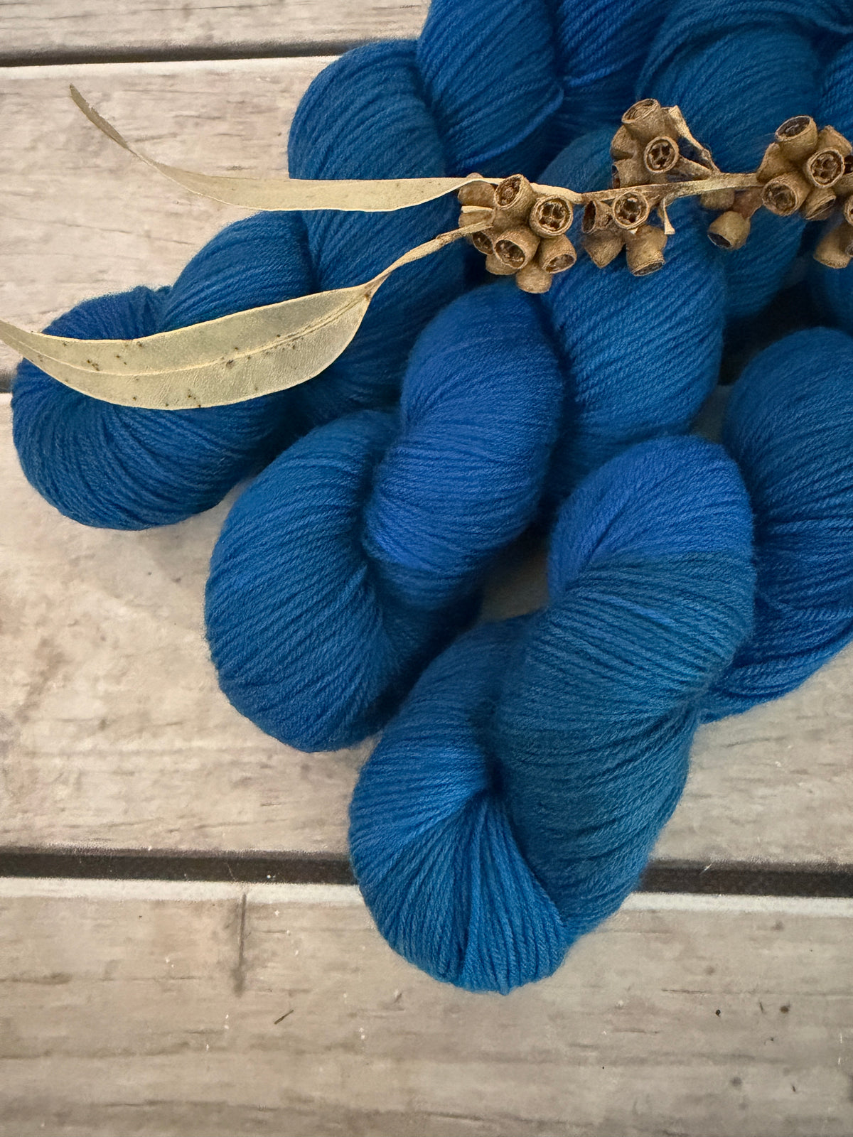 Indian Painted Grasshopper #2 - 4 ply sock yarn in merino and nylon - Darjeeling 4