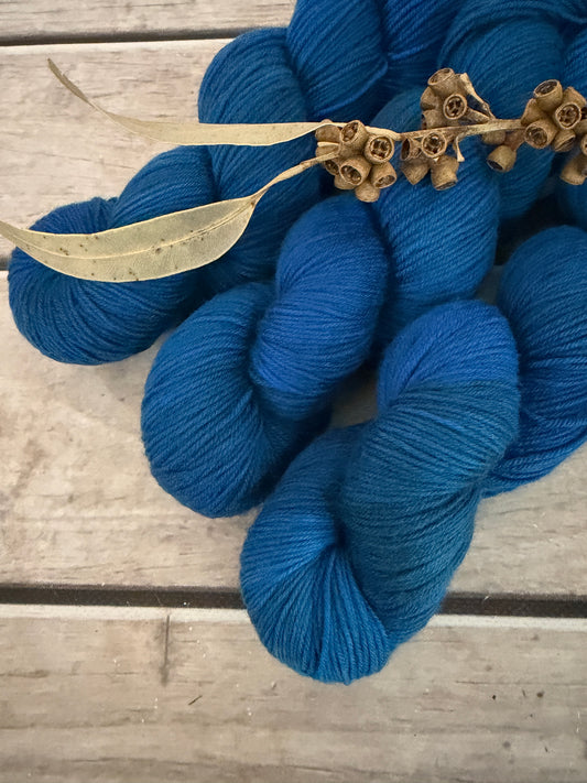 Indian Painted Grasshopper #2 - 4 ply sock yarn in merino and nylon - Darjeeling 4