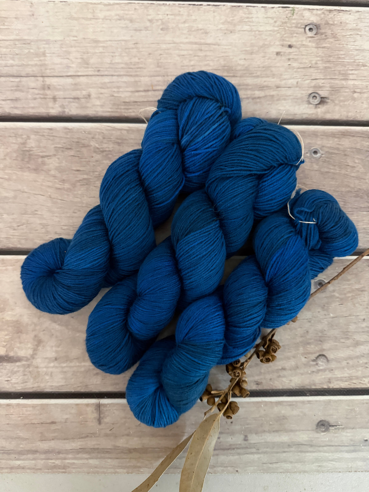 Indian Painted Grasshopper #2 - 4 ply sock yarn in merino and nylon - Darjeeling 4