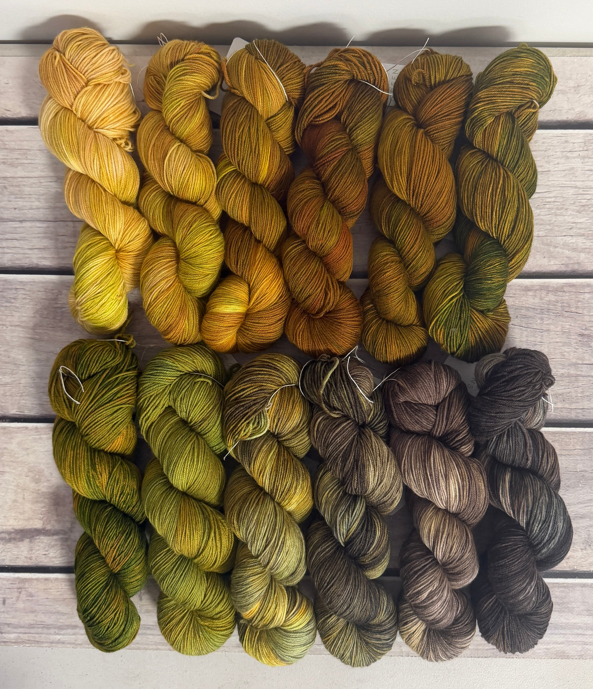 Golden Green Gryphon - full skein kit