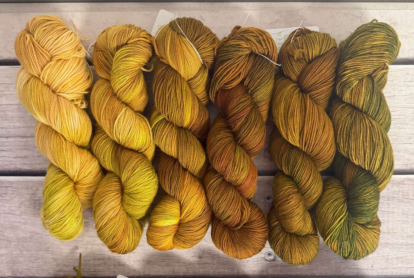 Golden Green Gryphon - full skein kit