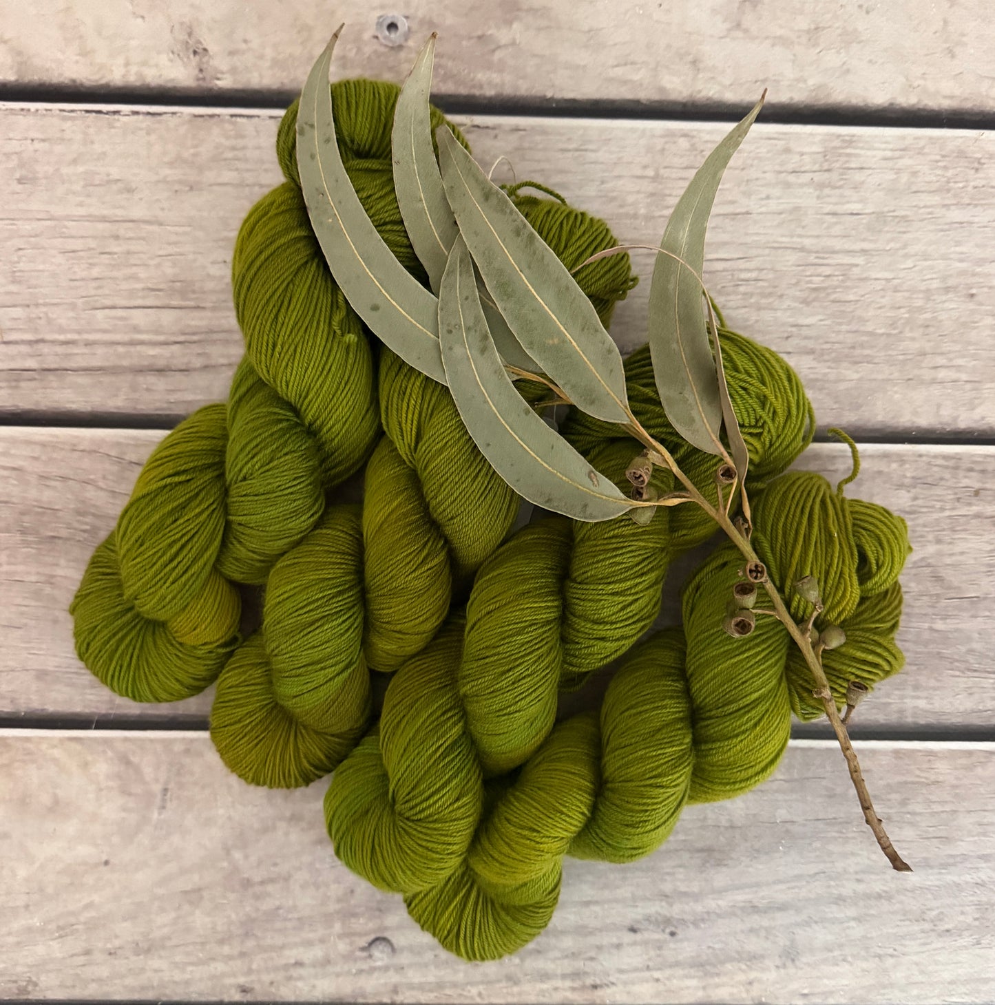 Gryphon #6 - Darjeeling 4 ply sock yarn in merino and nylon