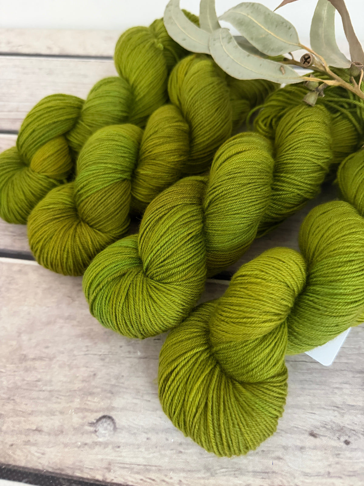 Gryphon #6 - Darjeeling 4 ply sock yarn in merino and nylon