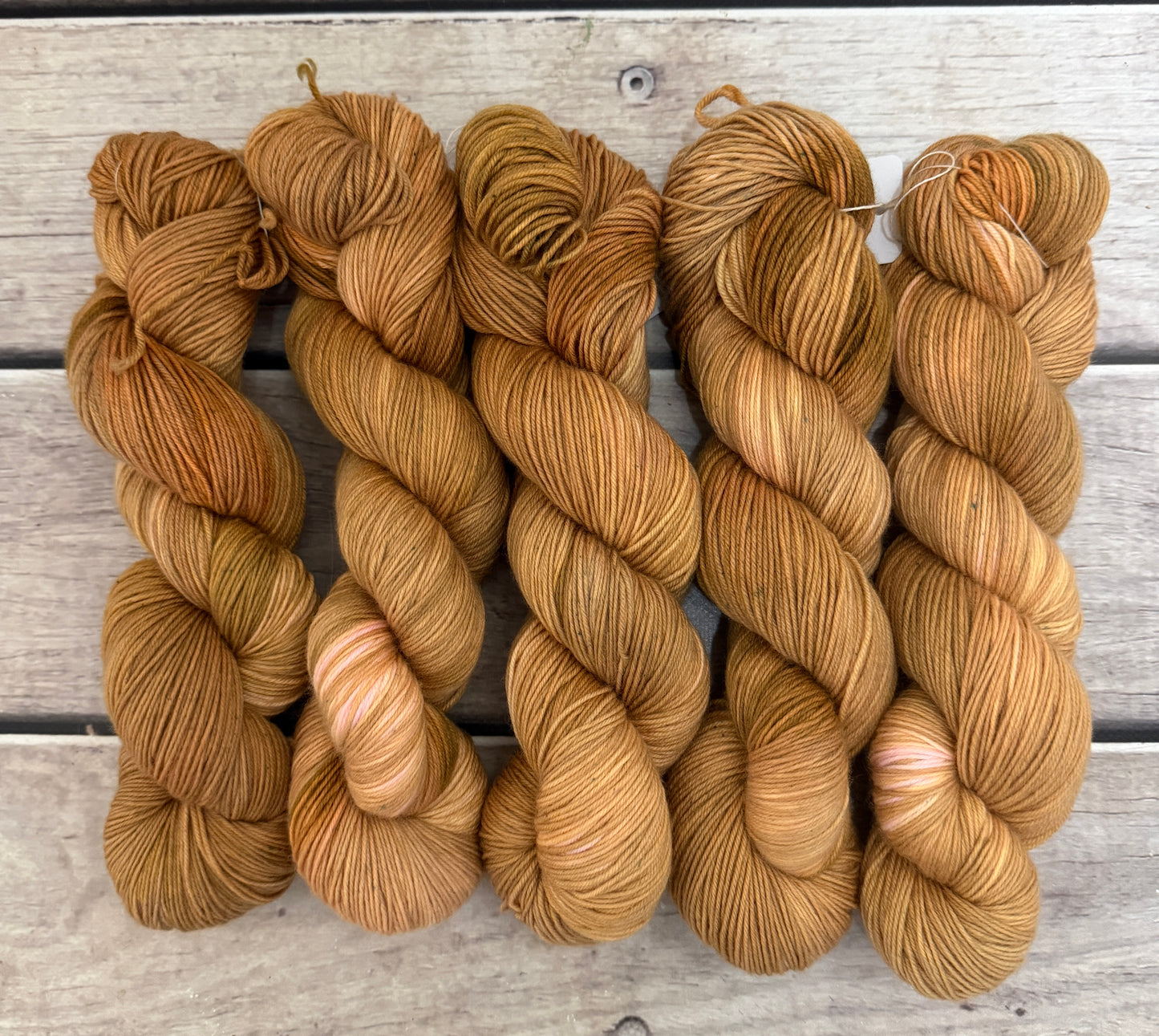 Conch Shell - Darjeeling 4 ply sock yarn in merino and nylon
