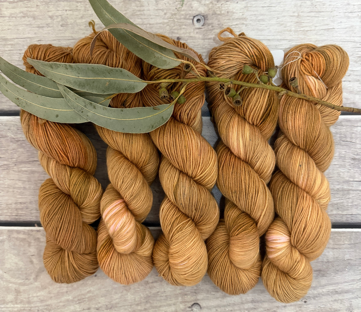 Conch Shell - Darjeeling 4 ply sock yarn in merino and nylon