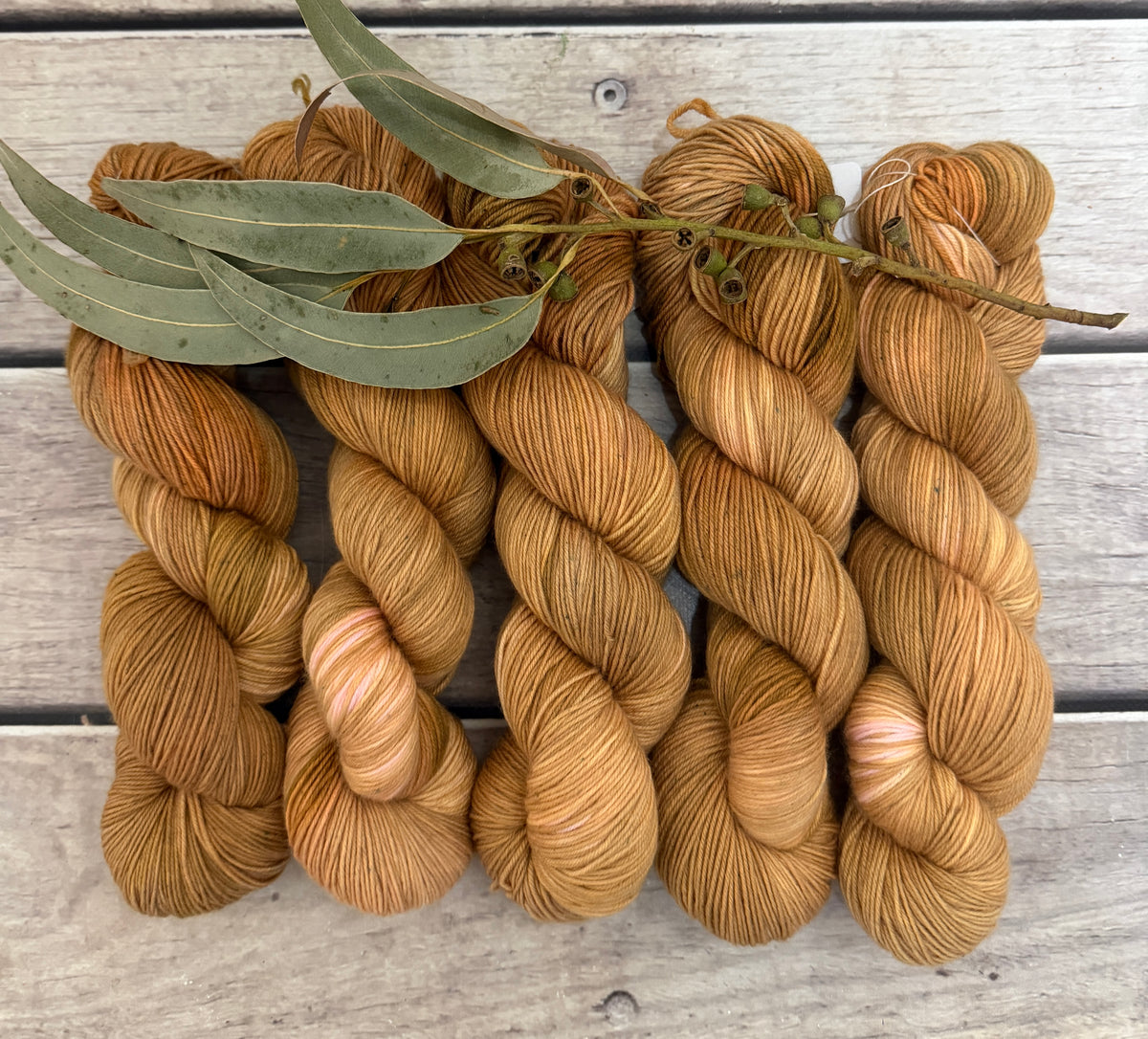 Conch Shell - Darjeeling 4 ply sock yarn in merino and nylon