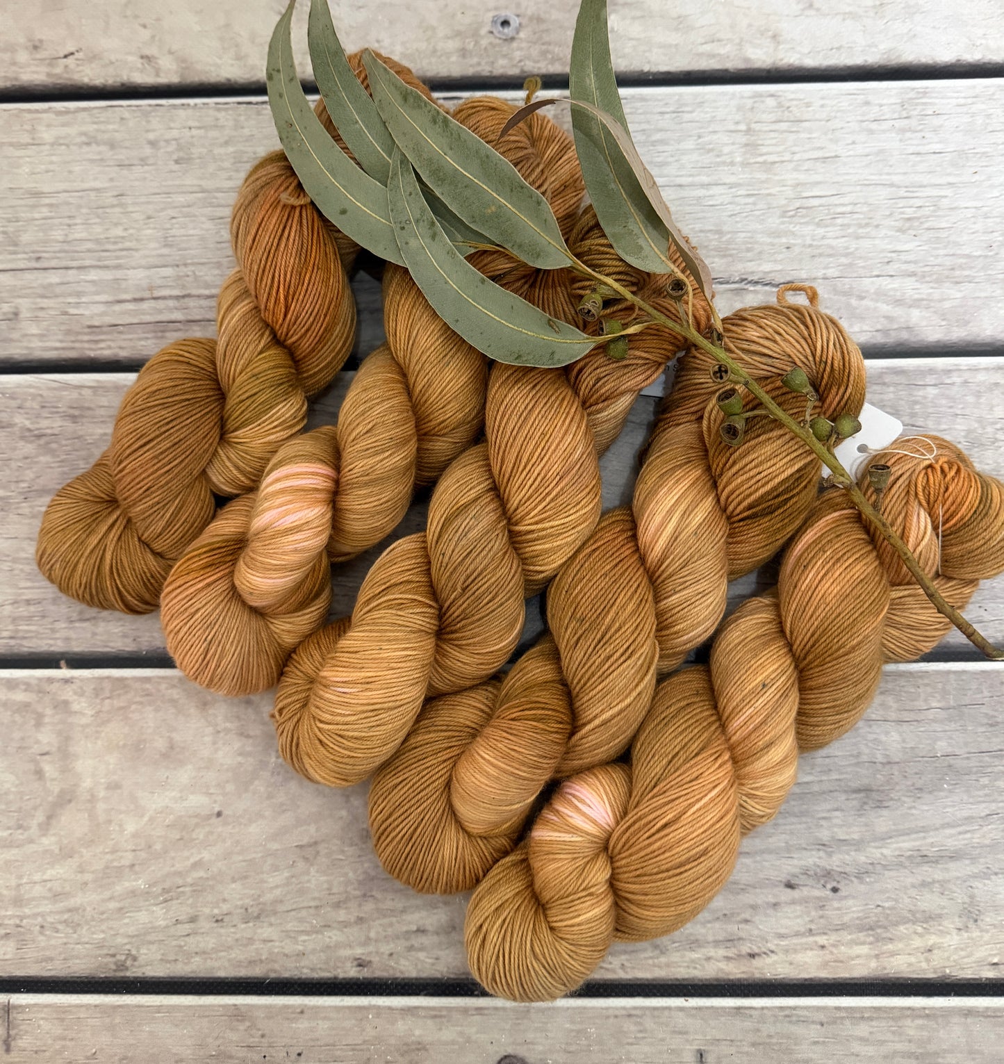 Conch Shell - Darjeeling 4 ply sock yarn in merino and nylon