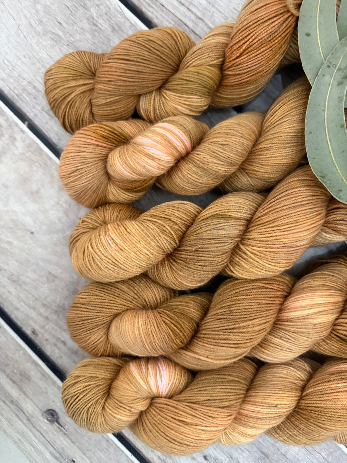 Conch Shell - Darjeeling 4 ply sock yarn in merino and nylon