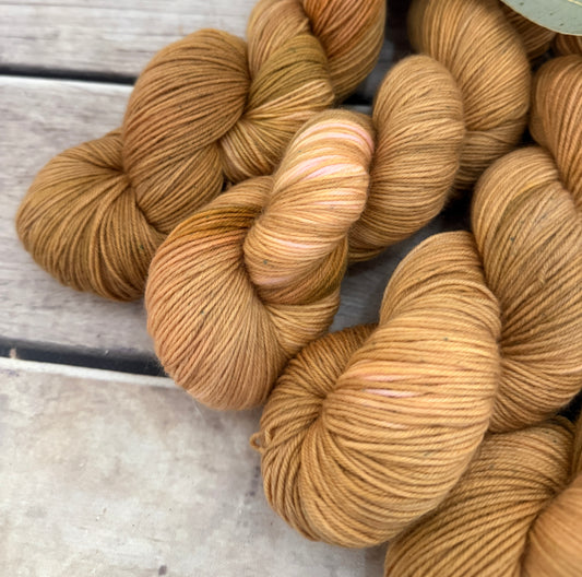Conch Shell - Darjeeling 4 ply sock yarn in merino and nylon