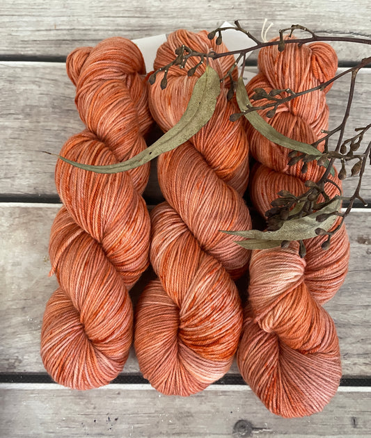 Paprika ooak - 4 ply merino/nylon sock yarn - Darjeeling
