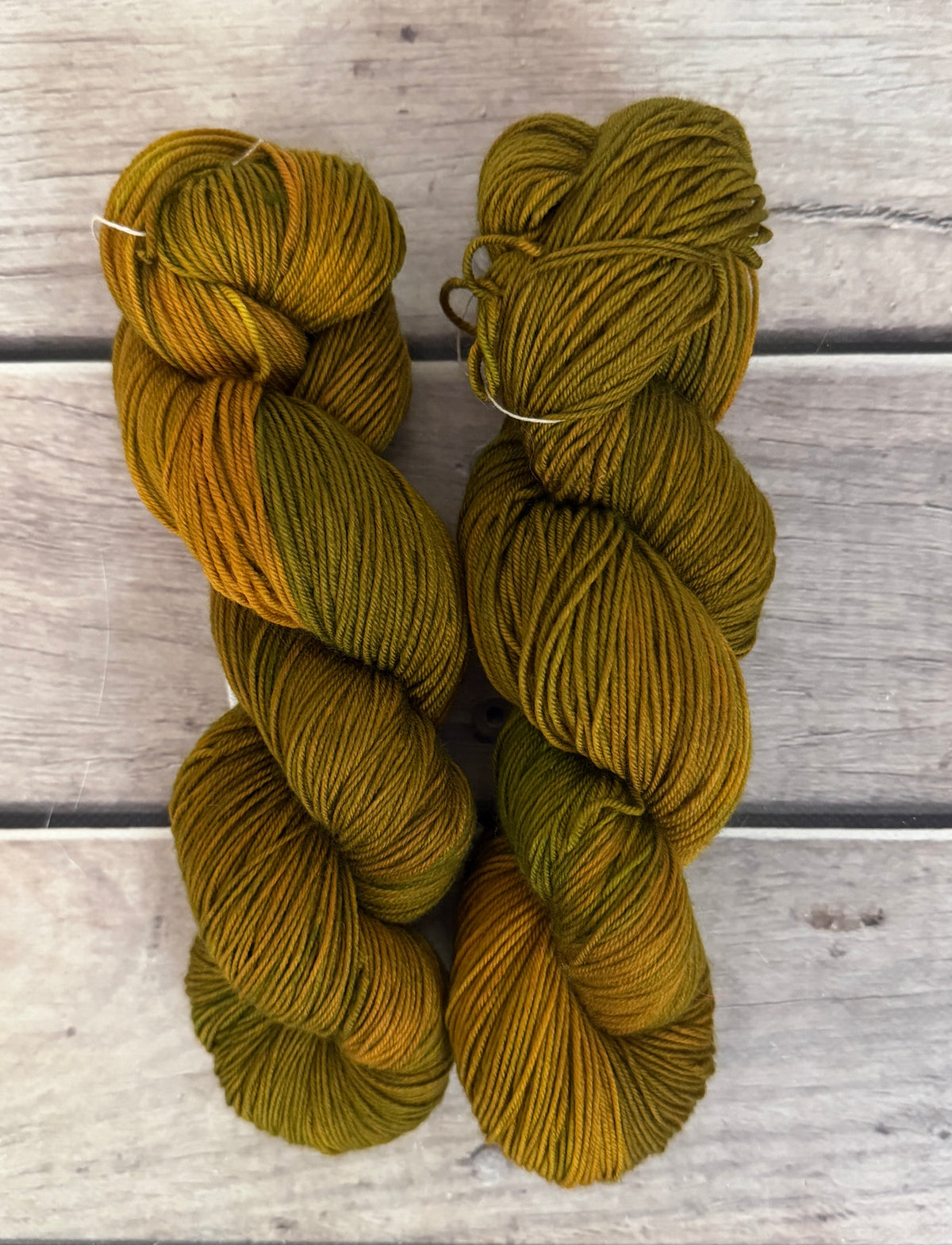 Gryphon #5 - Darjeeling 4 ply sock yarn in merino and nylon