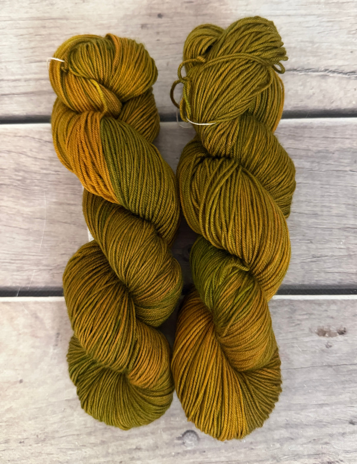 Gryphon #5 - Darjeeling 4 ply sock yarn in merino and nylon