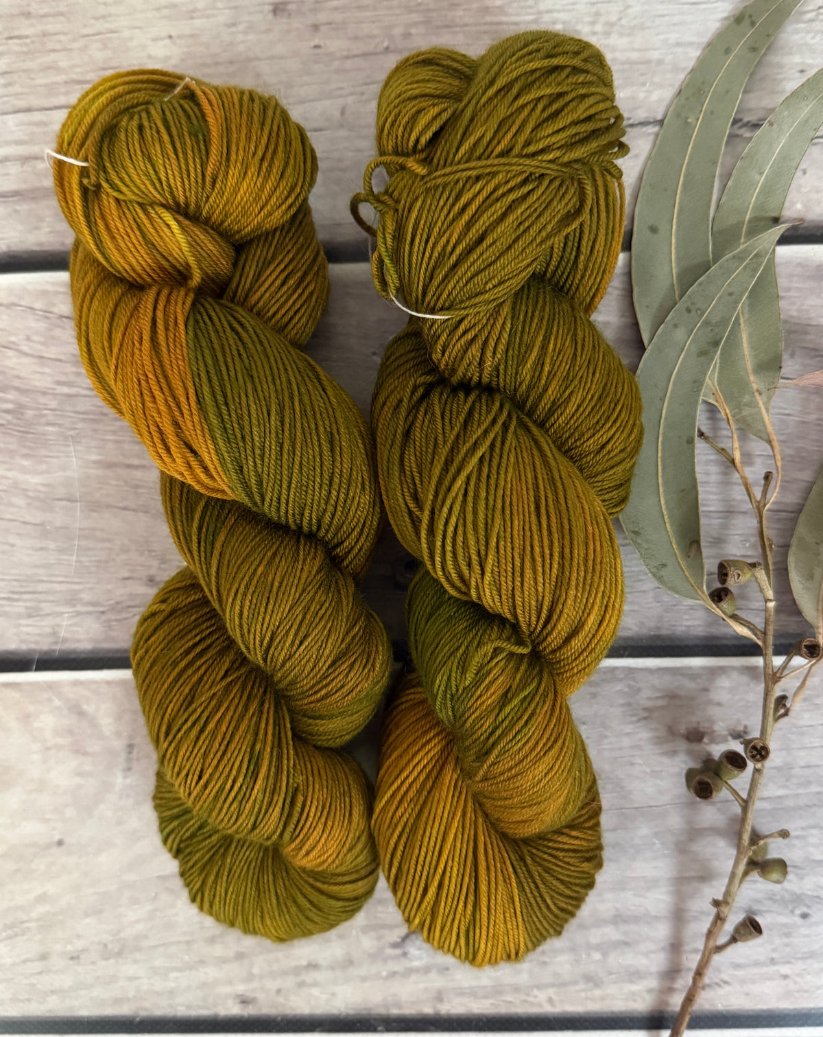 Gryphon #5 - Darjeeling 4 ply sock yarn in merino and nylon
