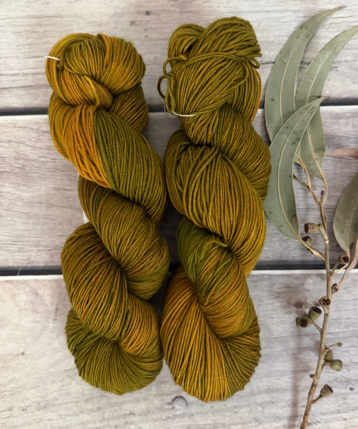 Gryphon #5 - Darjeeling 4 ply sock yarn in merino and nylon