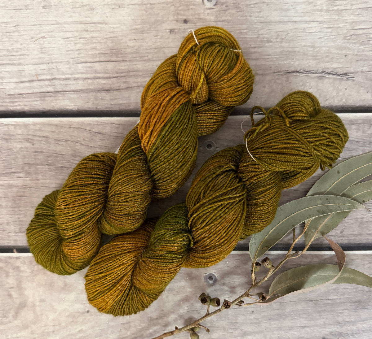 Gryphon #5 - Darjeeling 4 ply sock yarn in merino and nylon