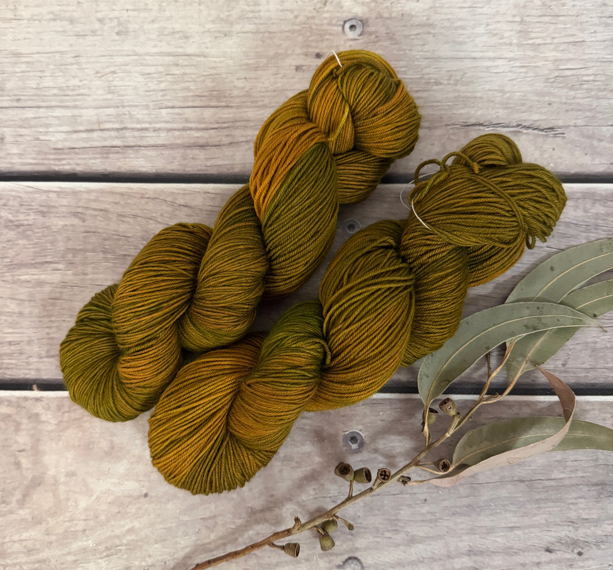 Gryphon #5 - Darjeeling 4 ply sock yarn in merino and nylon