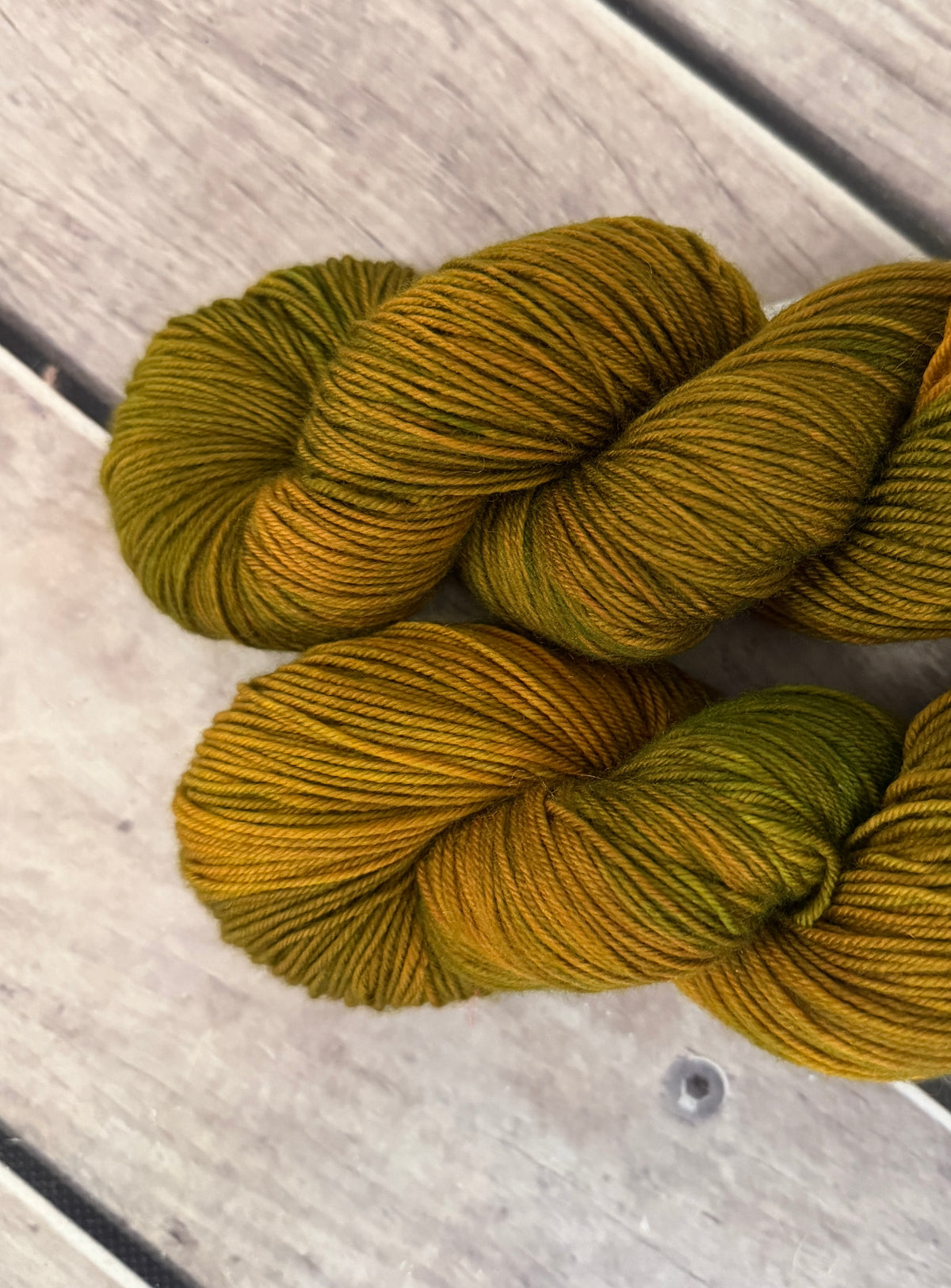 Gryphon #5 - Darjeeling 4 ply sock yarn in merino and nylon