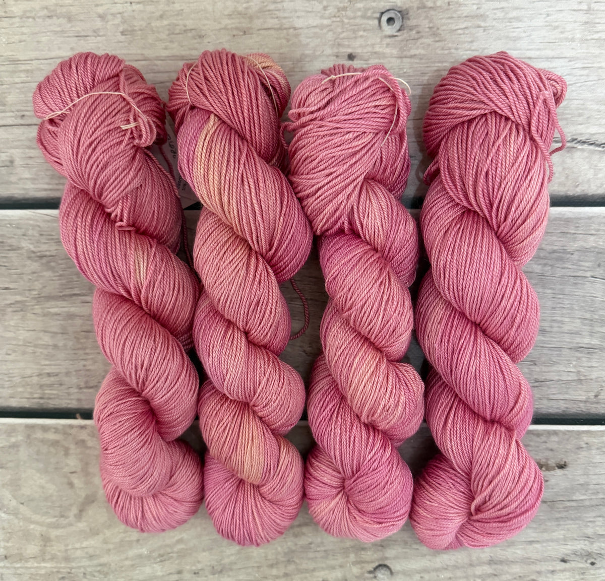 Spring Protea - 5 ply silk and merino - Jasmine 5
