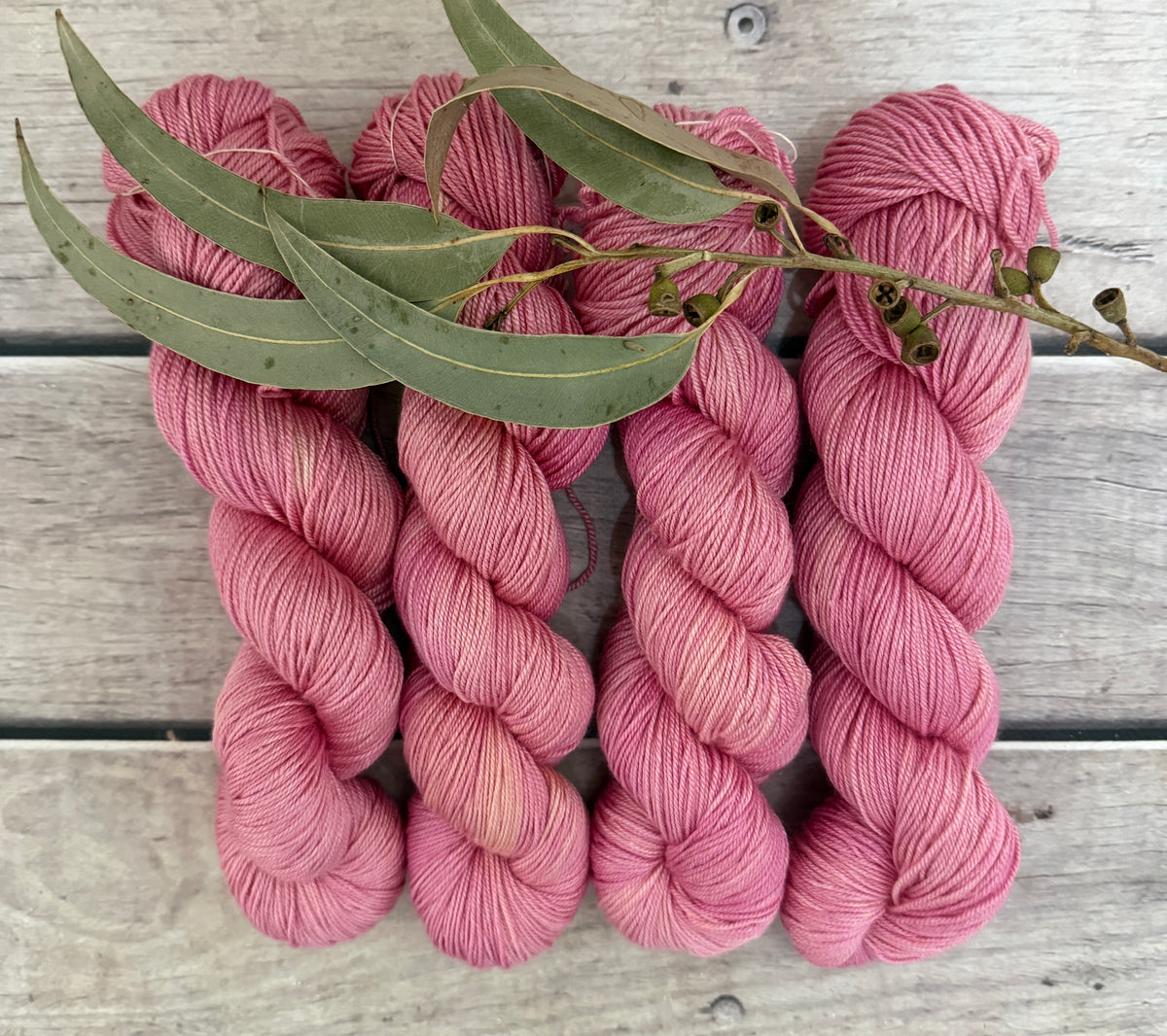 Spring Protea - 5 ply silk and merino - Jasmine 5