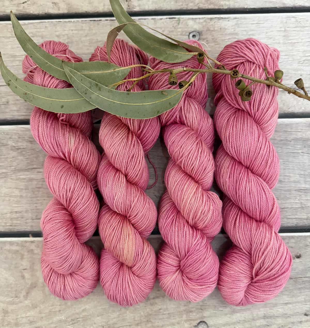 Spring Protea - 5 ply silk and merino - Jasmine 5