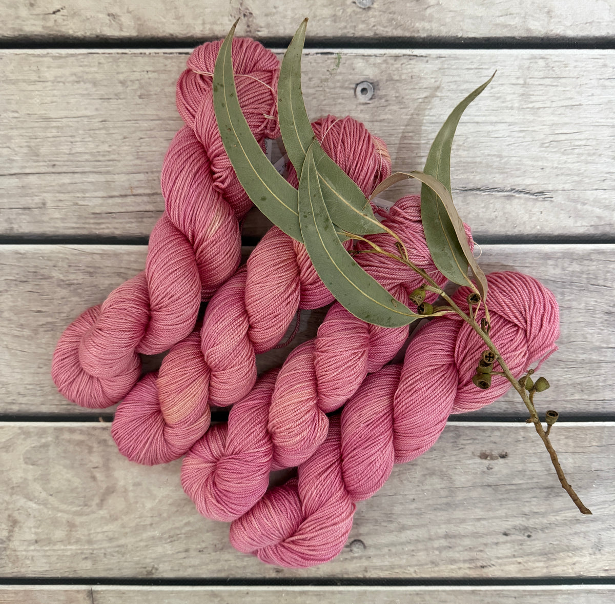 Spring Protea - 5 ply silk and merino - Jasmine 5