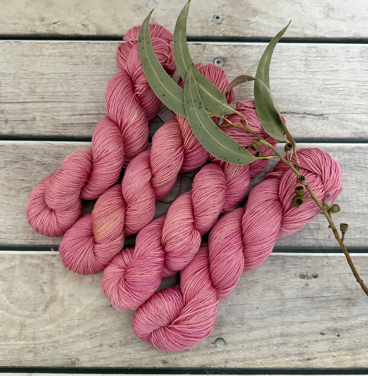 Spring Protea - 5 ply silk and merino - Jasmine 5
