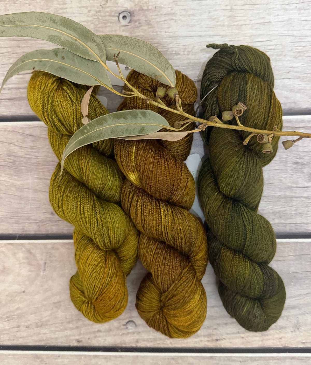 Gryphon Short Fade - Jasmine merino/silk yarn - 4 ply